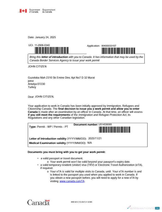 Download Canada e visa template in Word and PDF formats Photoshop template